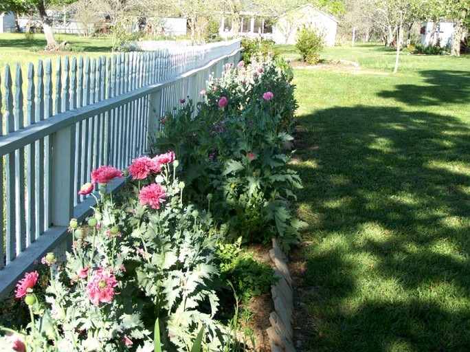 Nature Lodges (Bellville, Texas, United States)