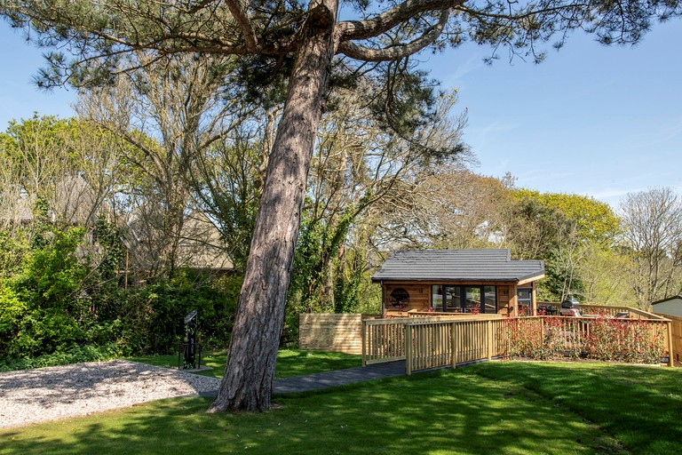Tree Houses (United Kingdom, --, --)