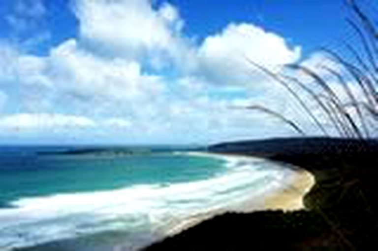 Fully-Furnished Holiday Room near Catlins Forest Park, South Island, New Zealand | Nature Lodges (Chaslands, South Island, New Zealand)