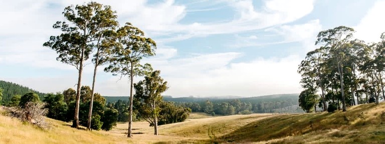 Tiny Houses (Australia, Norway, New South Wales)
