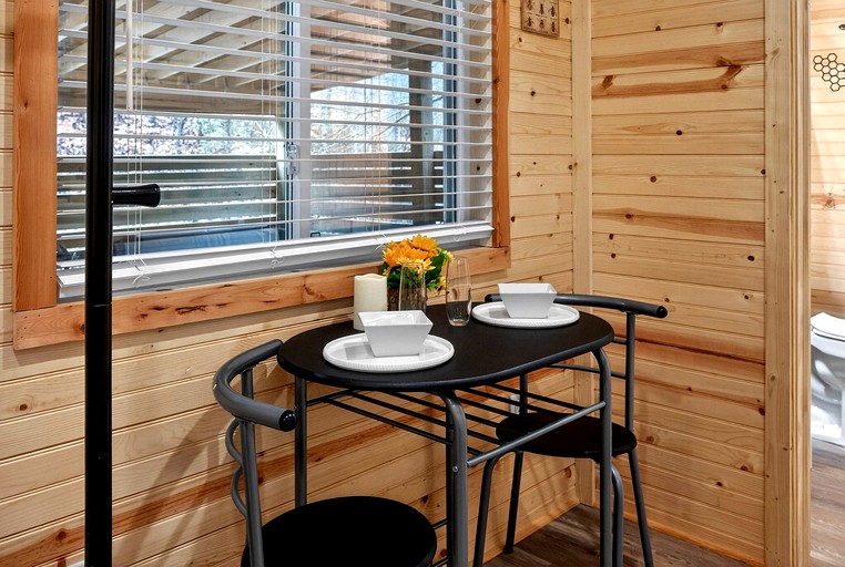 Vacation Rentals (United States of America, Sevierville, Tennessee)