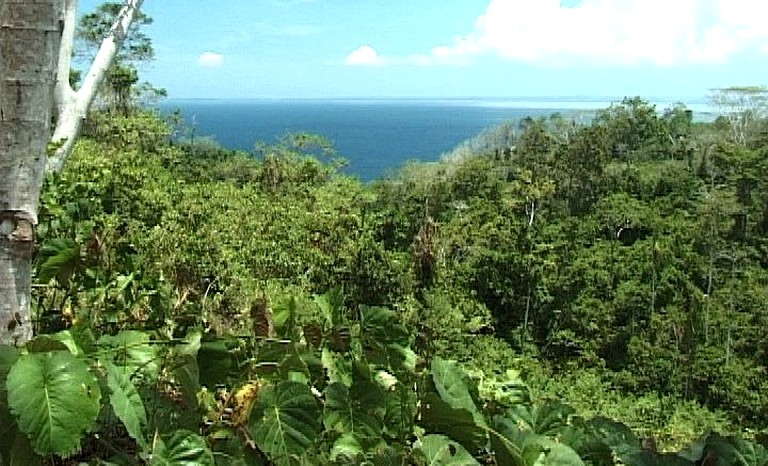 Huts (Kavieng, New Ireland Province, Papua New Guinea)