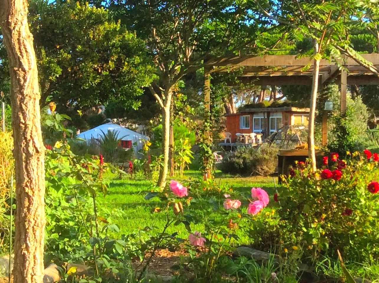 Yurts (Colares, Lisbon District, Portugal)