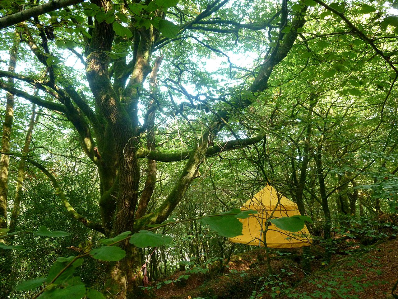 Tree tents in Brittany, France.