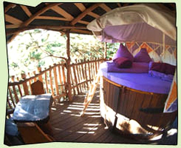 Tree Houses (Neißeaue, Saxony, Germany)