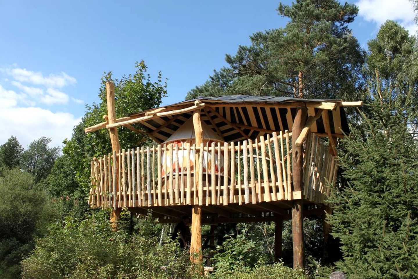 Tree Houses (Neißeaue, Saxony, Germany)