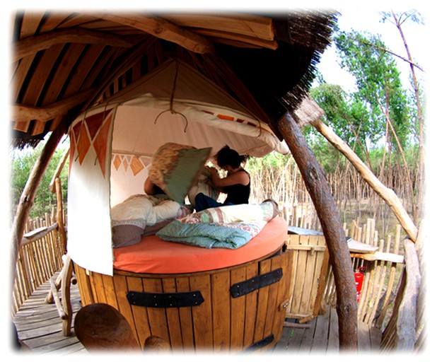Tree Houses (Neißeaue, Saxony, Germany)