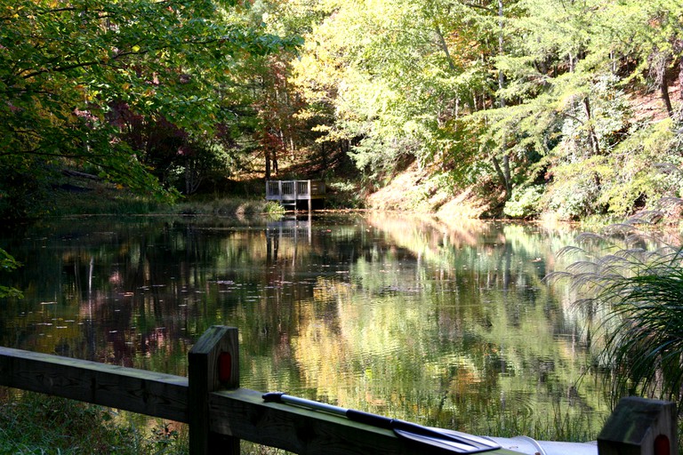 Cabins (Horse Shoe, North Carolina, United States)