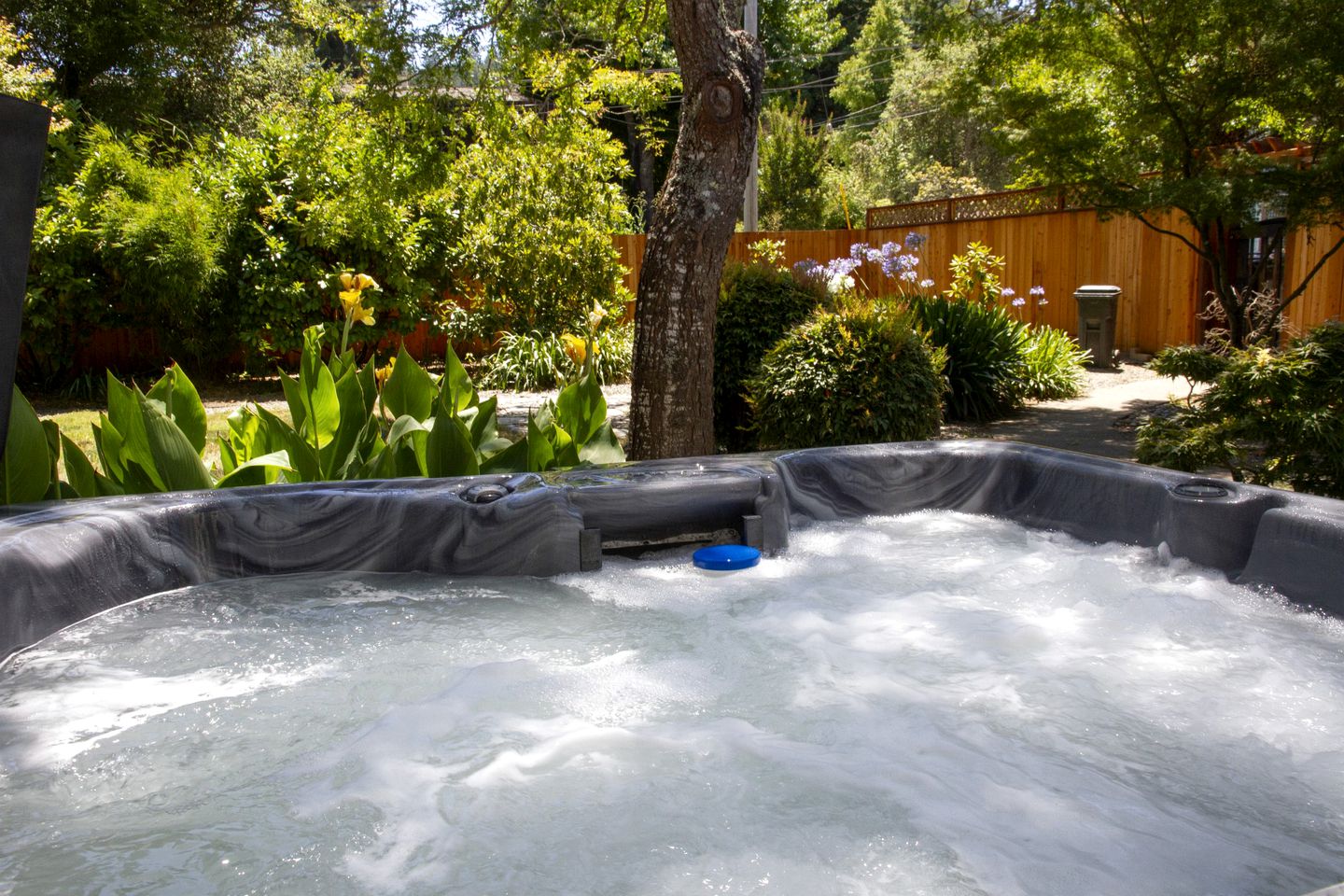 Guerneville Rental for a Family Vacation in California