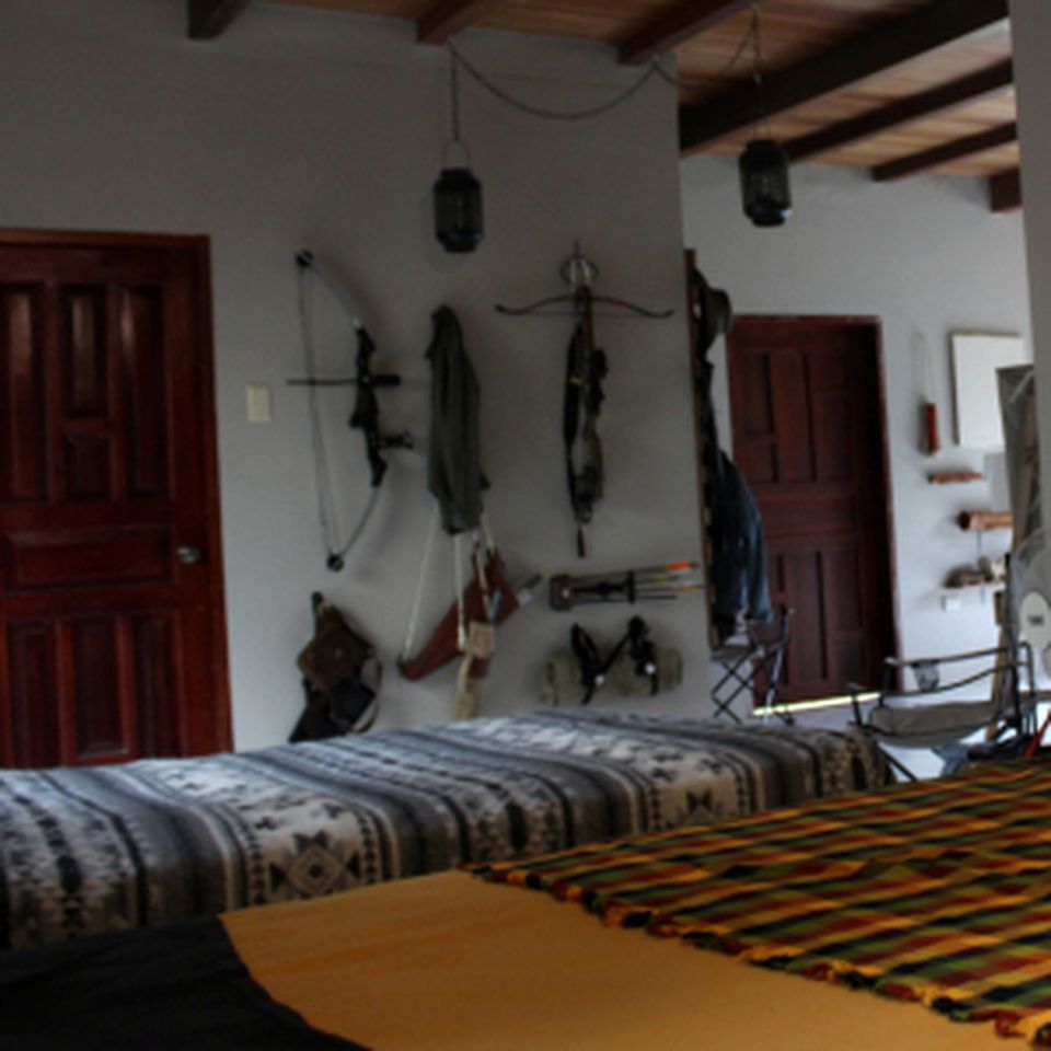 Nature Lodges (Siena, Tuscany, Italy)