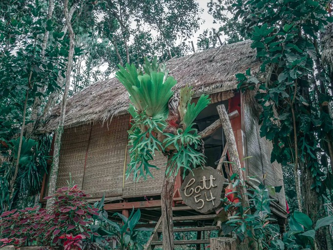 Authentic Elevated Hut Accommodations Surrounded by Trees in Cambodia | Huts (Kompong Hau, Kampong Speu Province, Cambodia)