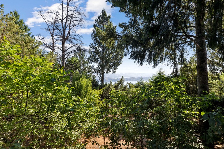 Charming A-Frame with Stunning Views in Kelseyville, California