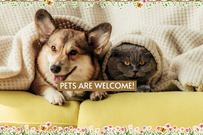 Cabins (United States of America, Broken Bow, Oklahoma)