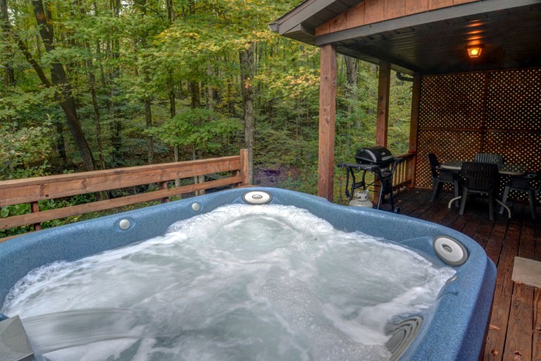 Cabins (United States of America, Bruceton Mills, West Virginia)