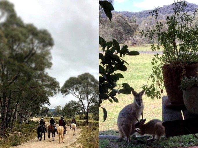 Cabins (Rylstone, New South Wales, Australia)