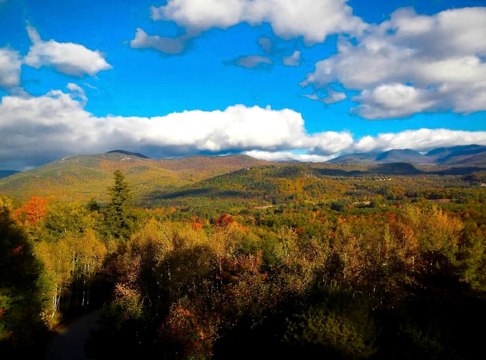 Cabins (United States of America, Bartlett, New Hampshire)