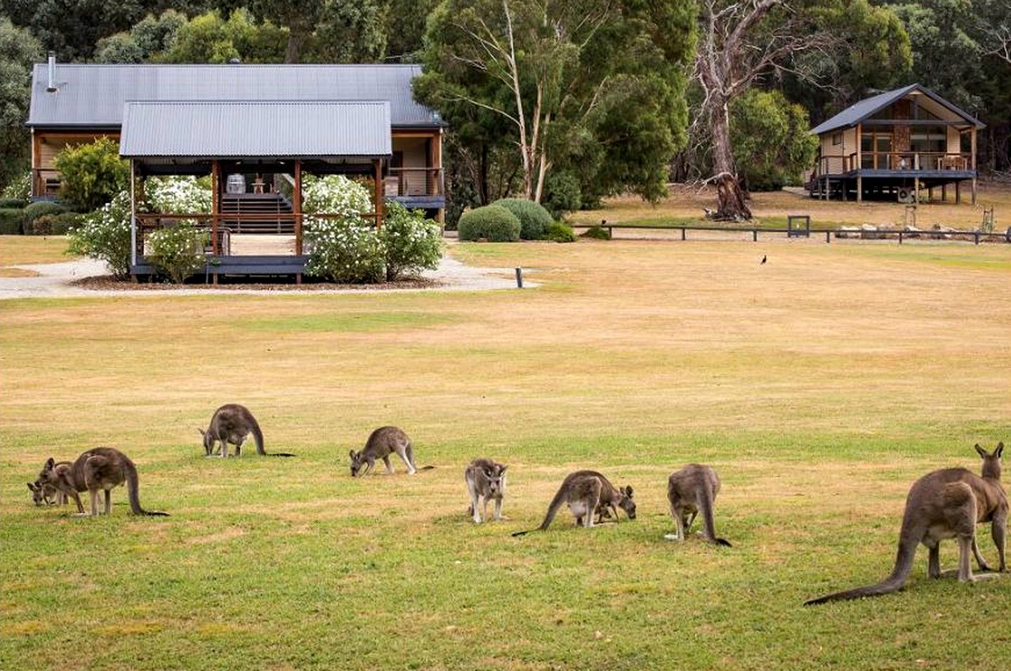 Cottages (Yering, Victoria, Australia)