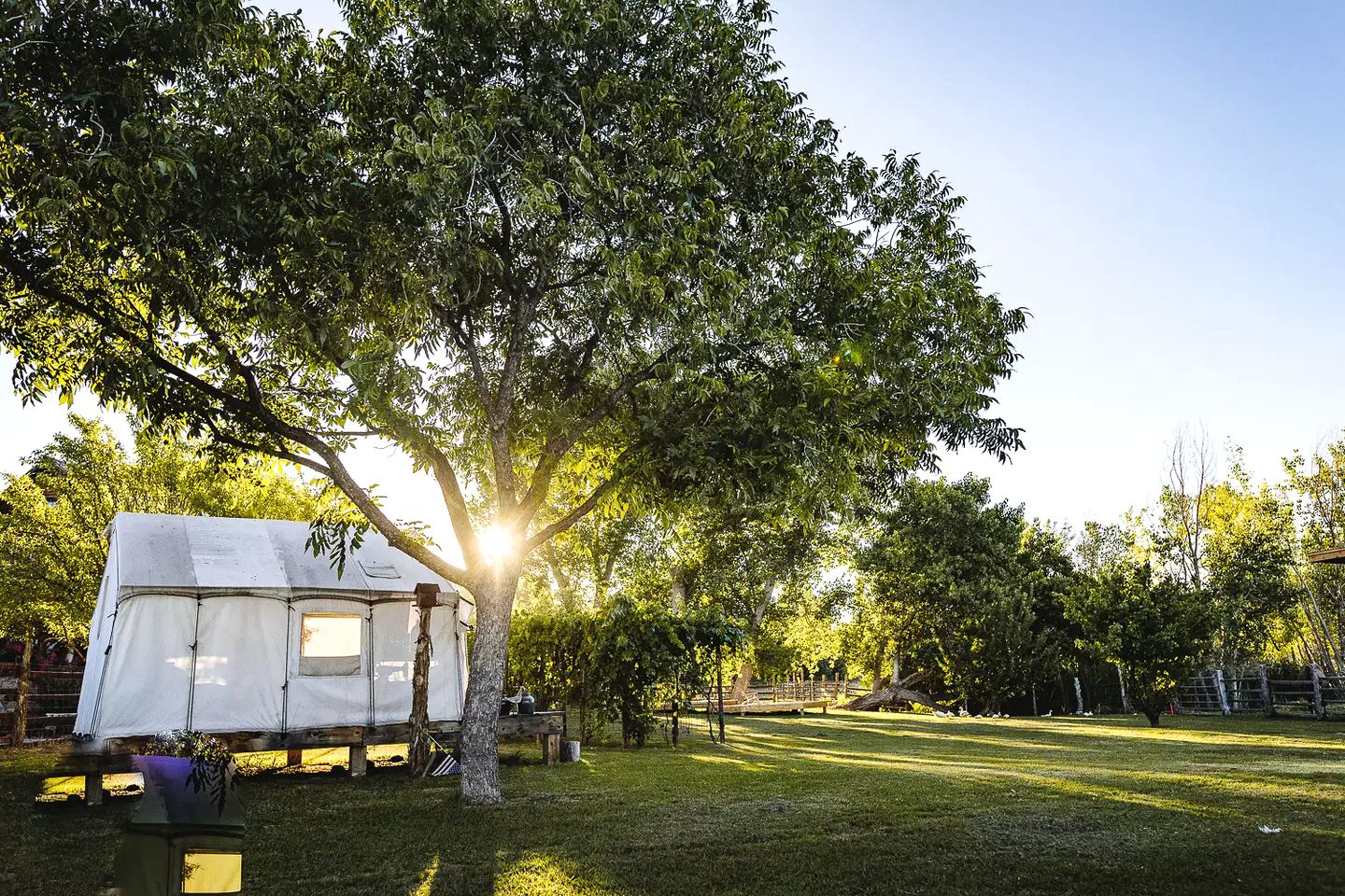 Safari Tents (Virgin, Utah, United States)