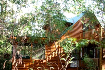 Accommodation near the Gondwana Rainforest