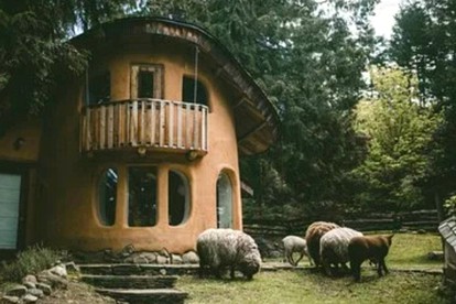 Best Places to Go for Christmas 2019: the PNW