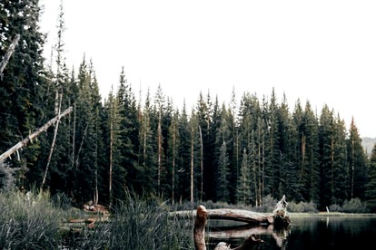 Best camping near Manti La Sal National Forest