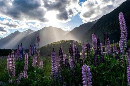 Romantic New Zealand Cabins near Me