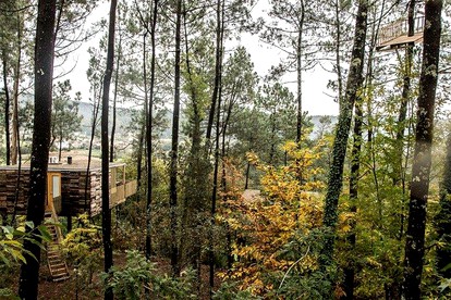 Escapadas puente de diciembre con niños 2019
