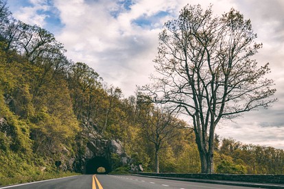 Shenandoah