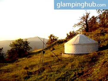Woodland Yurts