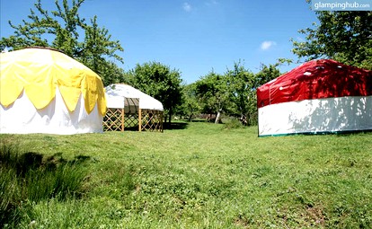 Yurts For Life