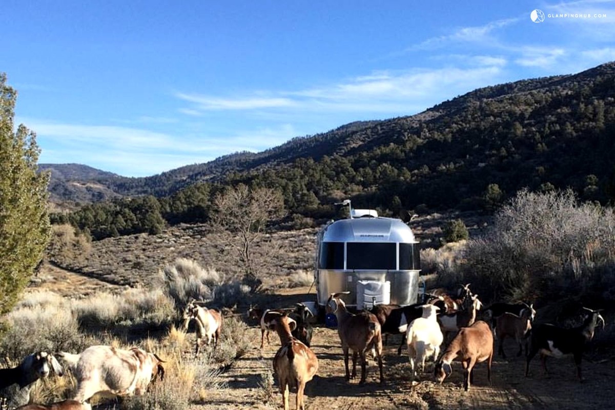 Airstream Rentals near Los Angeles
