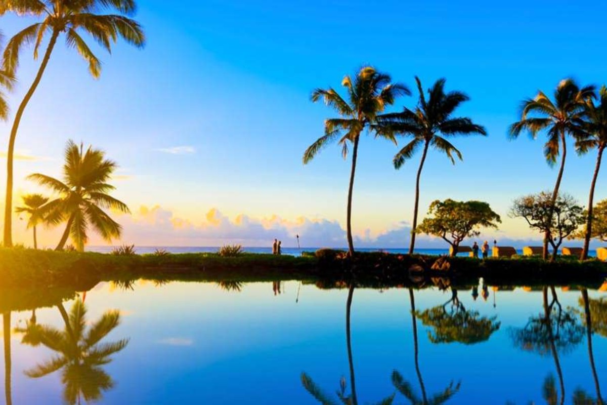 Creative Pet-Friendly Travel Gift Ideas in Hawaii