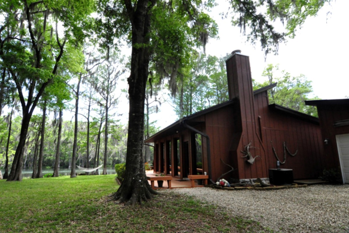 Dog-Friendly Bed and Breakfasts near Daytona Beach