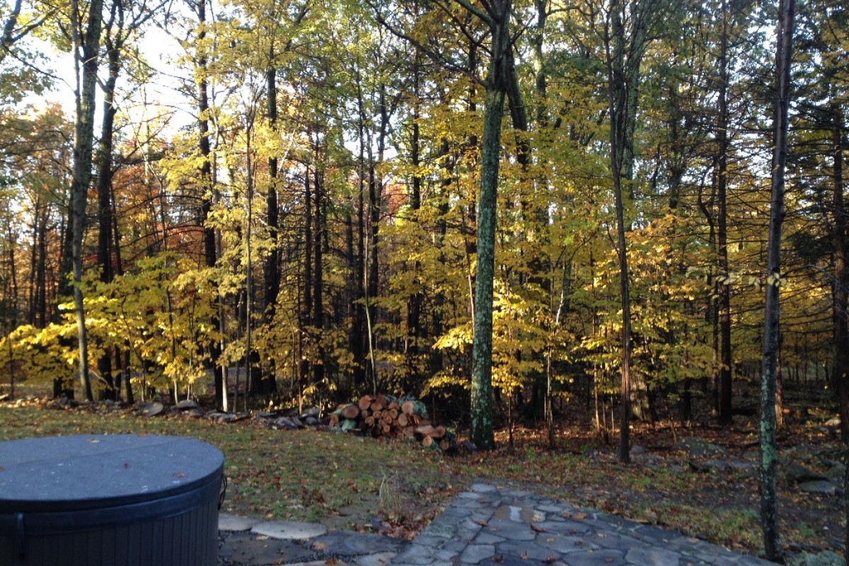 Getaways with Dogs in Upstate New York