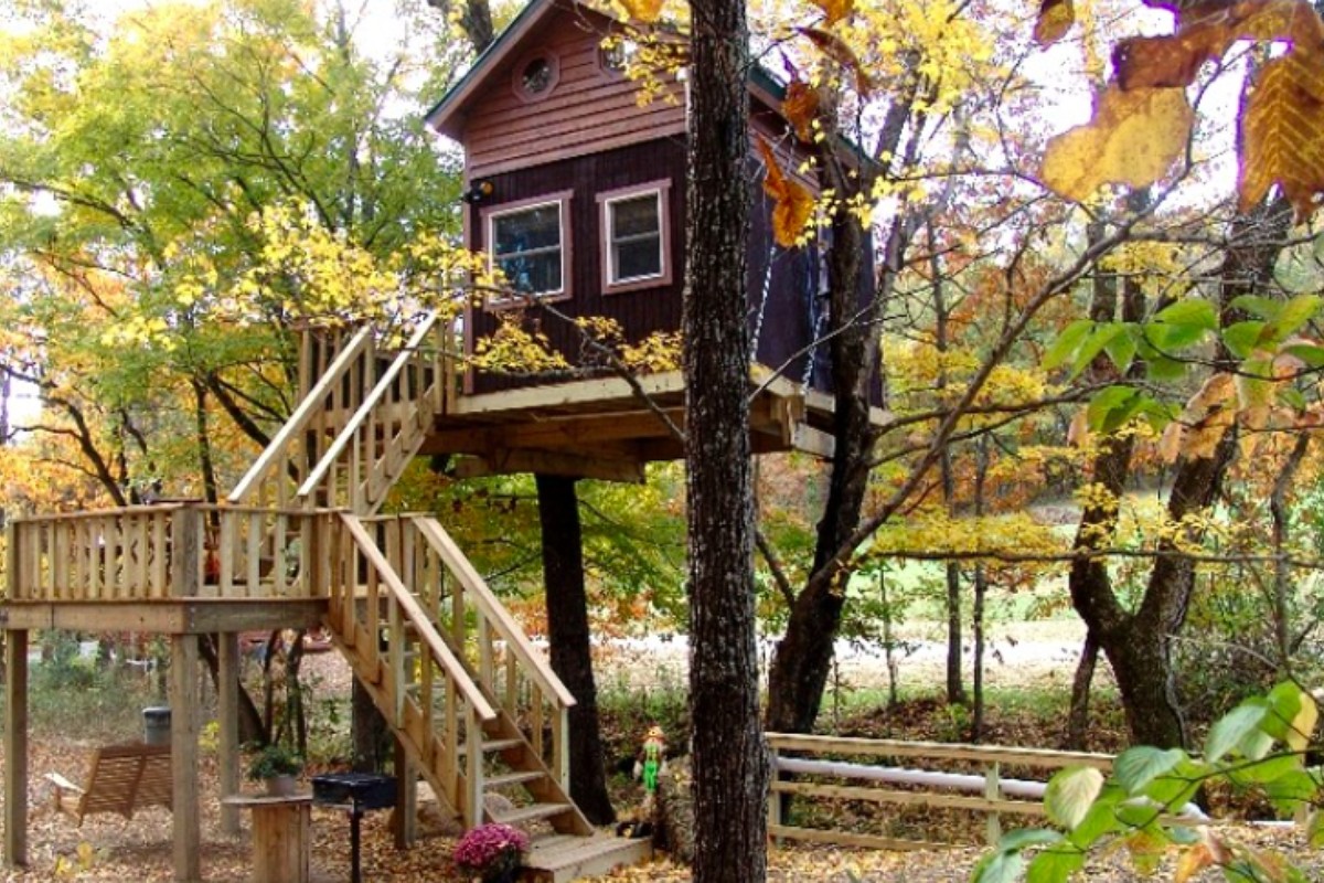 Gift to Do Cool Pet-Friendly Things near Chicago