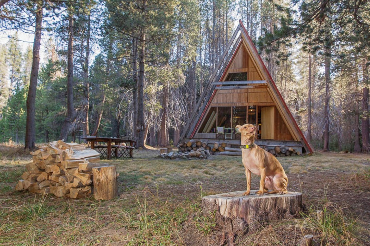 Glamping with Pets in California