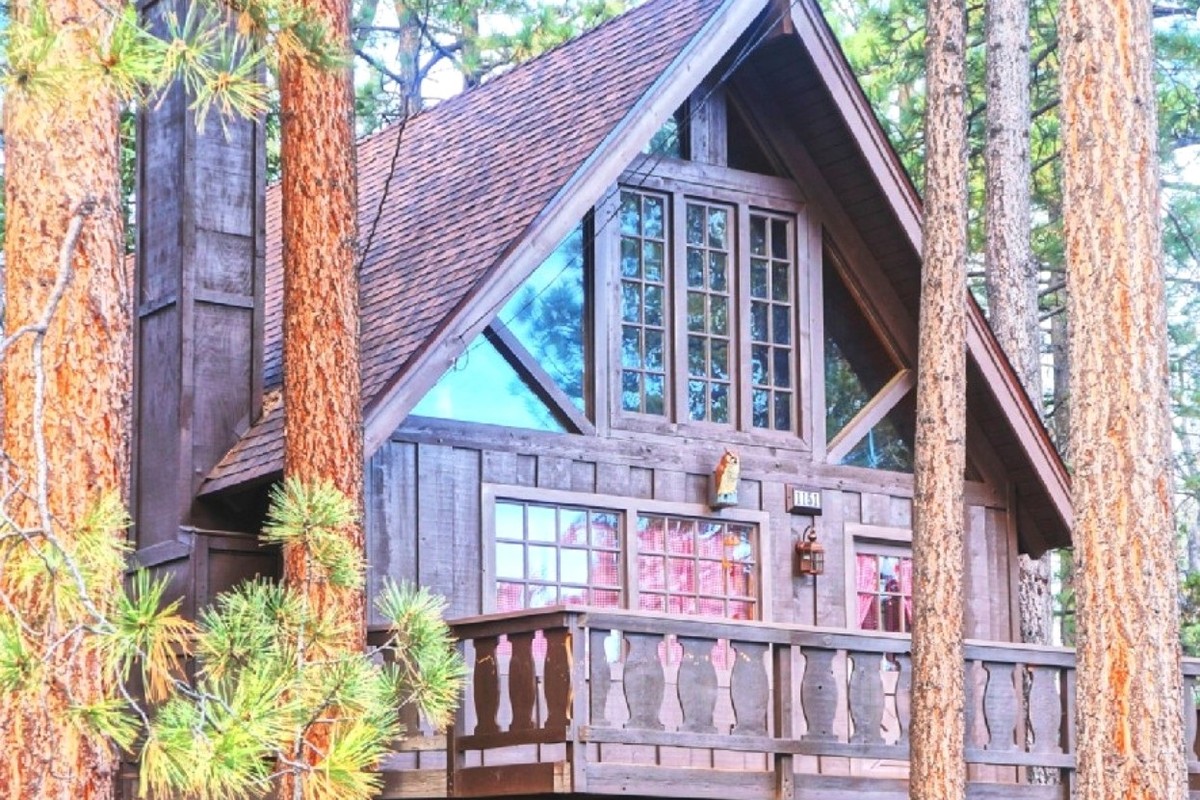 Pet-Friendly Cabin Rentals near Big Bear Lake