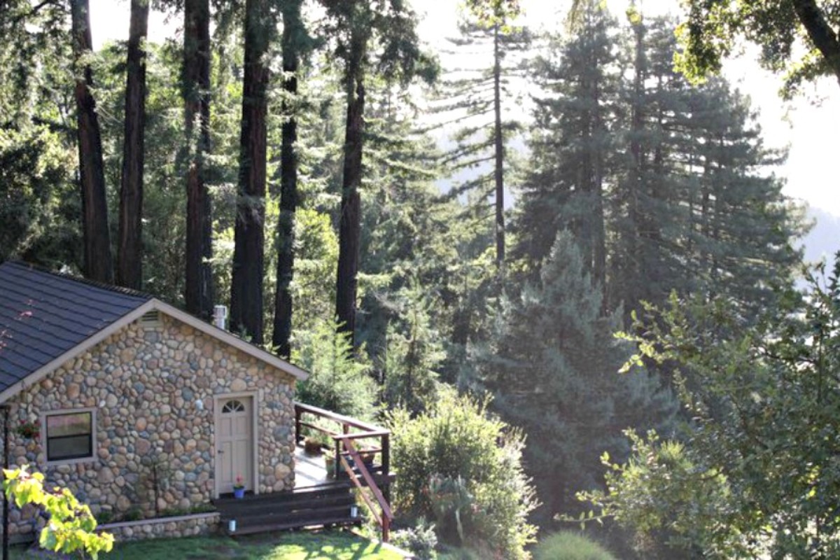 Romantic Redwoods Getaways in the Bay Area