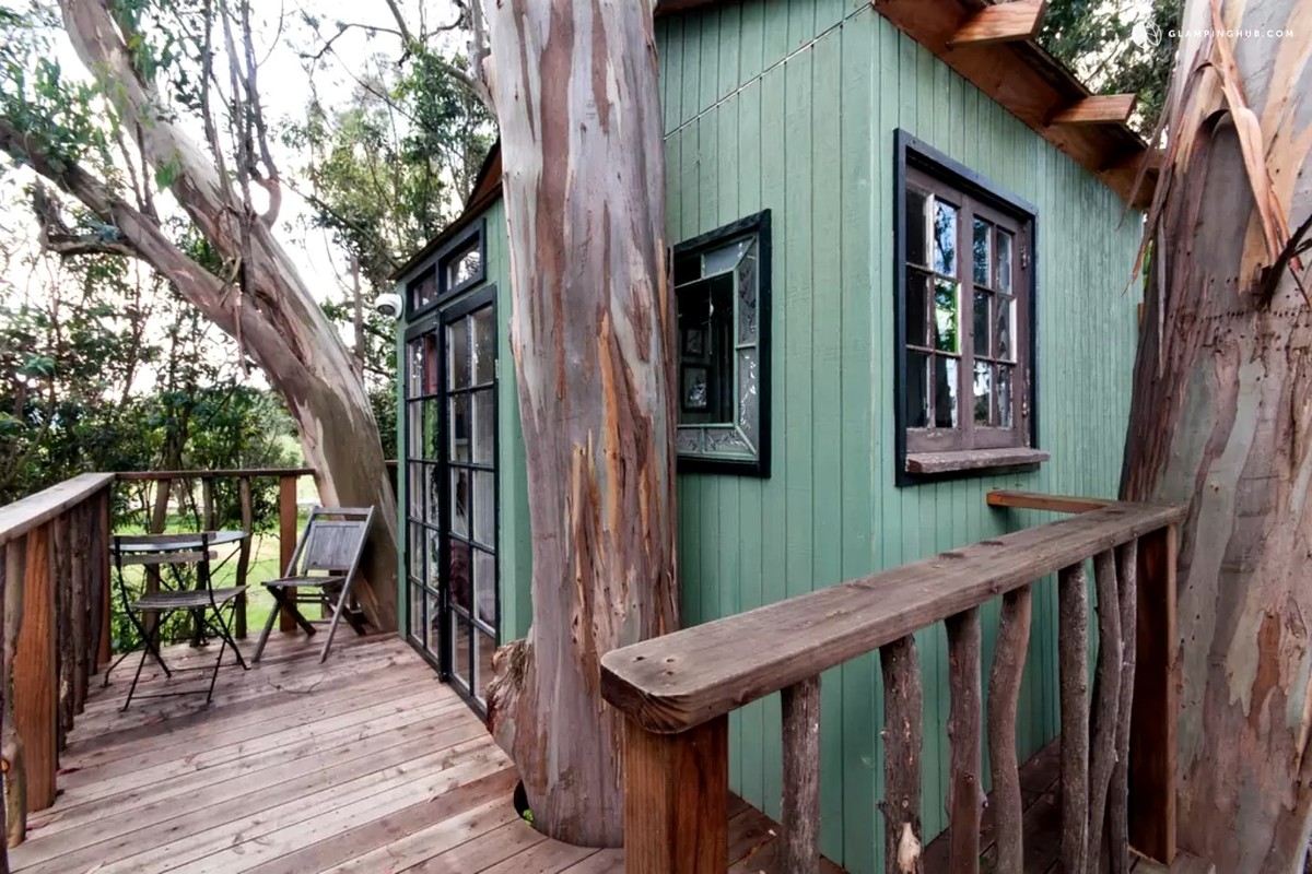 Romantic Tree Houses near Sonoma