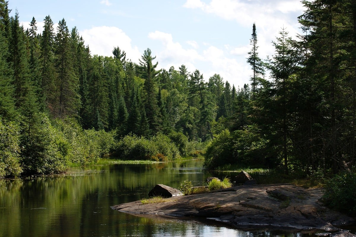 Secluded Camping Cabins in Ontario