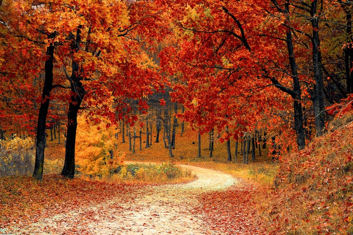 Secluded Fall Getaways in Washington