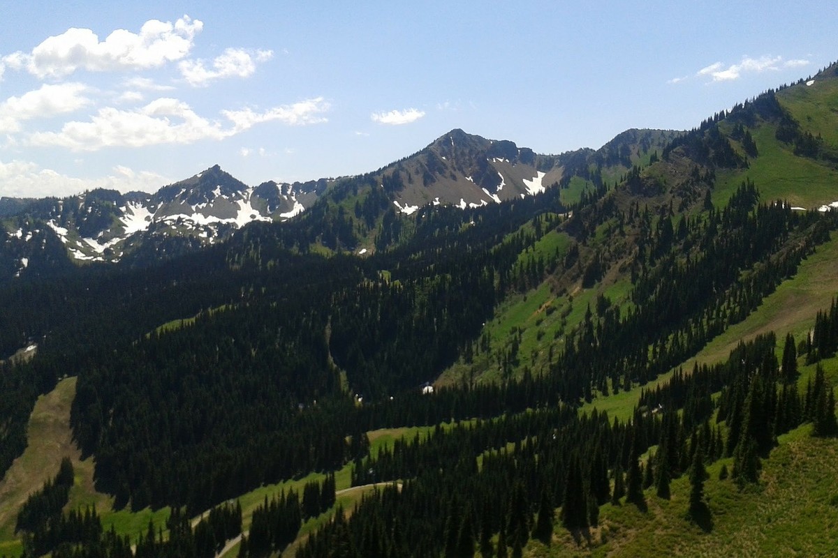 Unique Camping Cabins in Washington
