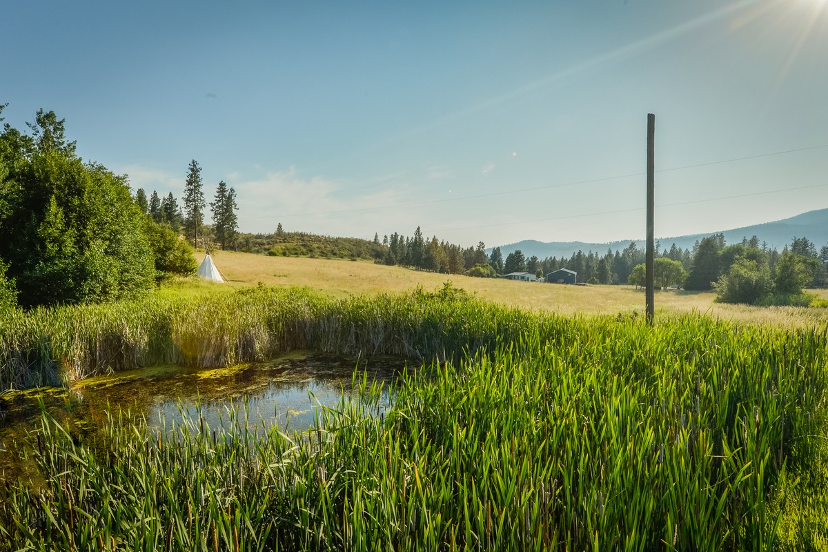 Glamping near Sullivan Lake