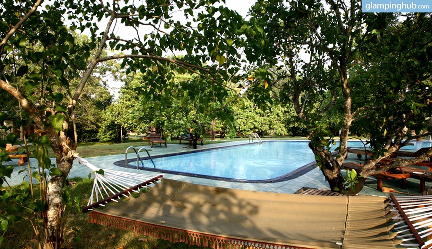 Luxury Chalets on Exquisite Property near Yala National Park, Sri Lanka