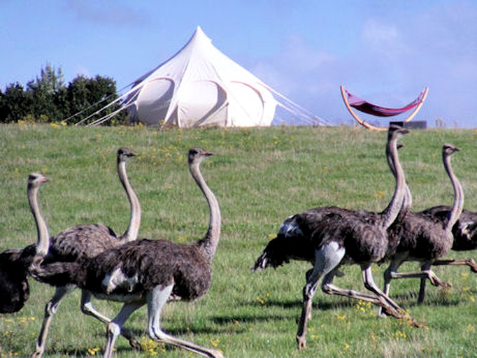 Bell Tents (Lübz, Mecklenburg-Vorpommern, Germany)