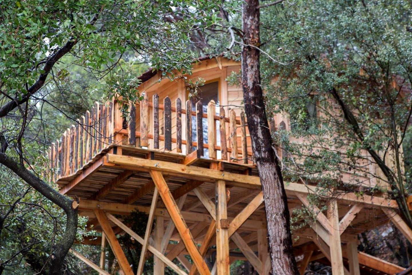 Luxurious Tree House Rental for Four near the French Riviera