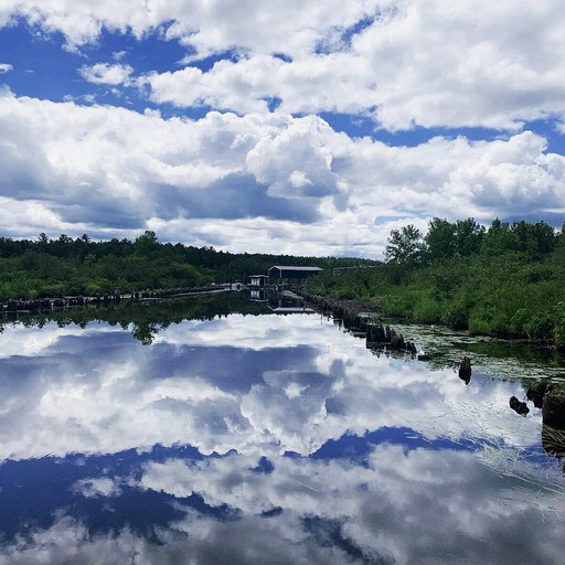 Cabins (Tower, Minnesota, United States of America)