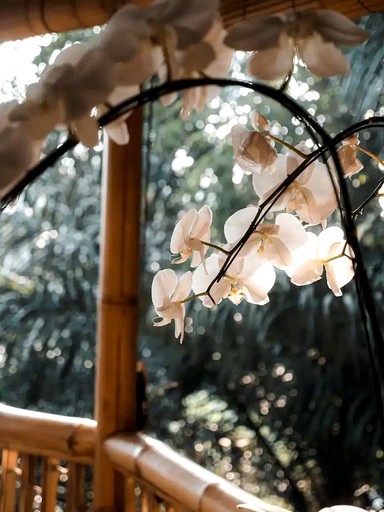 Tree Houses (Denpasar, Bali, Indonesia)