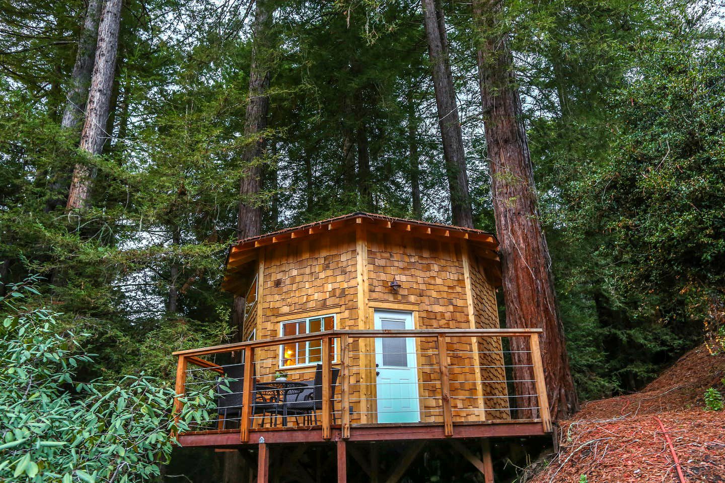 Magical California Tree House Surrounded by Redwoods near Santa Cruz