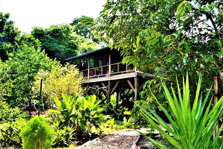 tree house for glamping in Belize